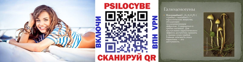 Купить где  Мыски  Псилоцибиновые грибы MAGIC MUSHROOMS 